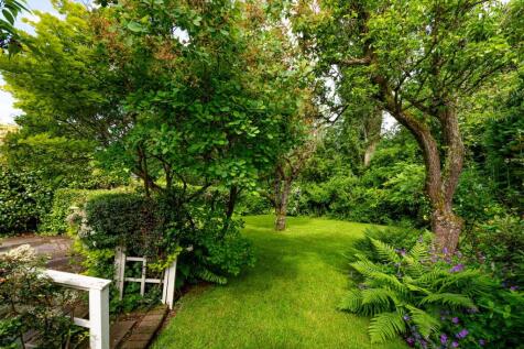 38 Cranford Road-garden3.jpg