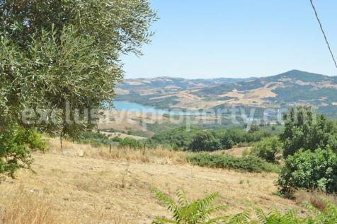 Property Image 56