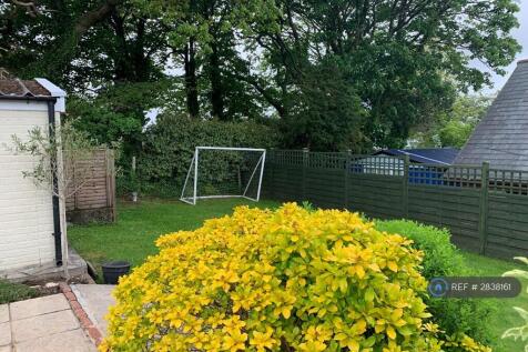 Back Garden