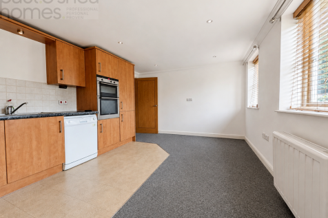 Kitchen/Living/Dining