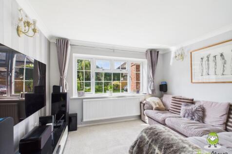 CAM03778G0-PR0233-STILL005