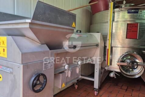 Panorama e Particolari