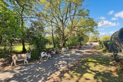 Property Image 28