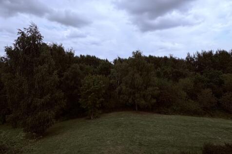 Panoramic view