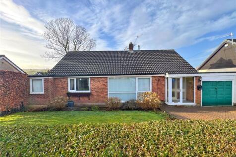 Hedge &amp; Lawn