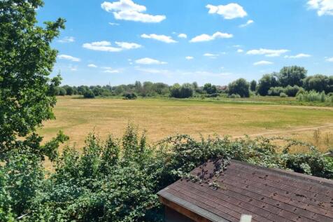 Meadow View