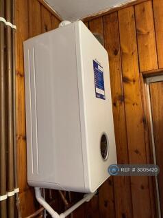 New Boiler