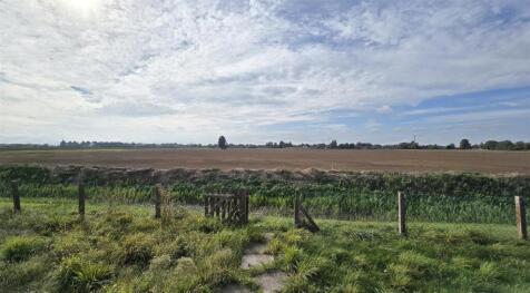 Field Views