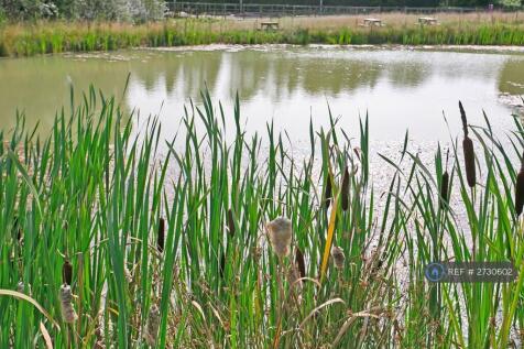 Lake Side Picnic Area