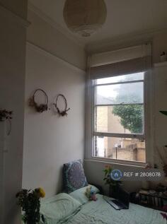 Kitchen Window 