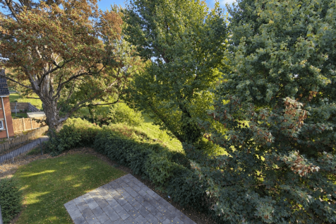 Sunny Leafy Garden View