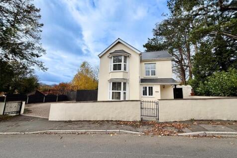 20251027_135410000_iOS 1.jpg