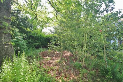 REAR GARDEN -