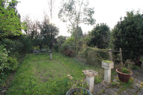 IMG 8352 T202603241534.jpg