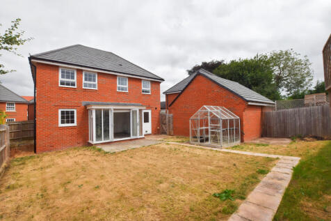 Rear Aspect 1
