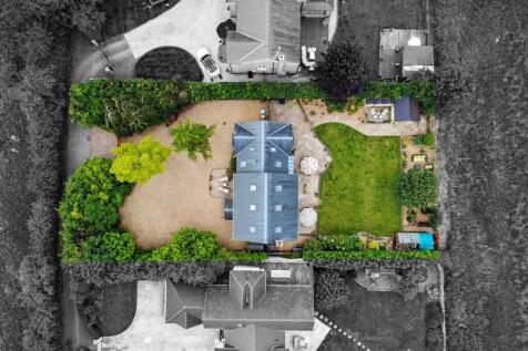 Garden_4.jpeg