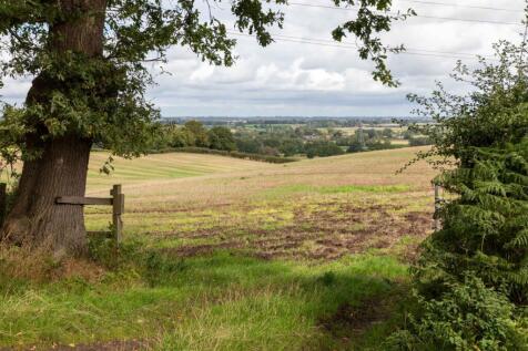 Lot 3