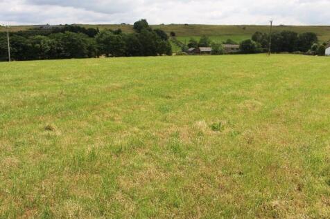 Farm Land for sale Image 4