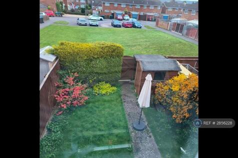 Back Garden