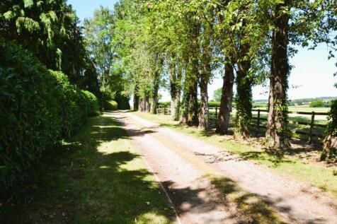 Property Image 24