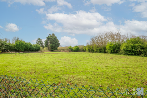 Meadow views