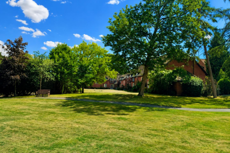 Communal Gardens