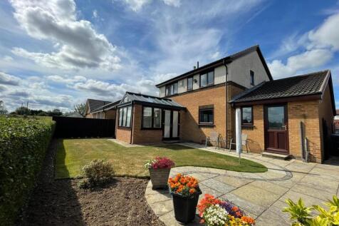 IMG-20250709-WA0003 - Copy.jpg