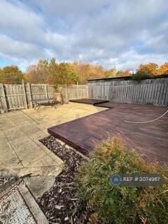 Back Garden