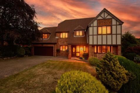 Property Image 45