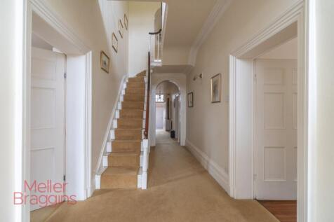 20250321-20250321-DSC07256 (2).jpg