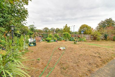 Communal Garden