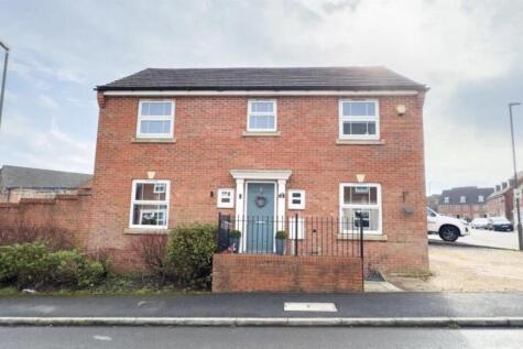 Photo 19-02-2026, 12 23 48.jpg