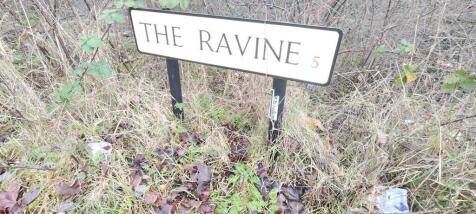 The Ravine photo