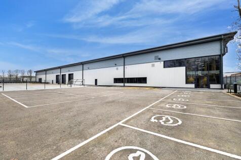 _MG_5246 copy 1.jpeg