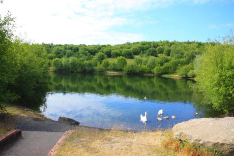 Nearby Lakeside W...