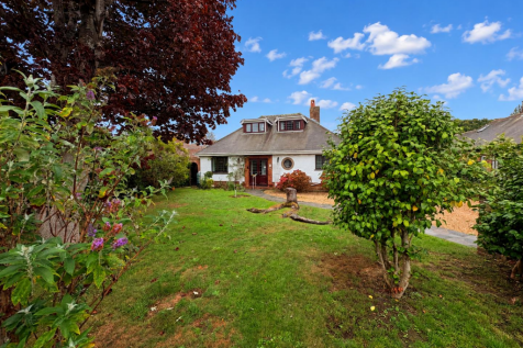 Cottage Garden with Fallen Log new.png