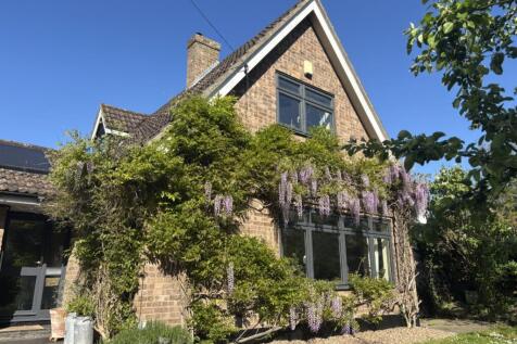 7brooksidewisteria