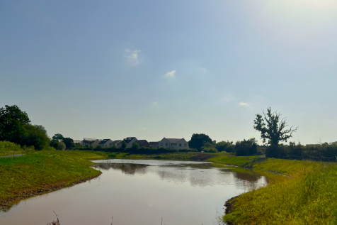 Nearby pond