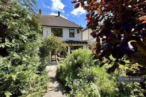 The View From The Garden