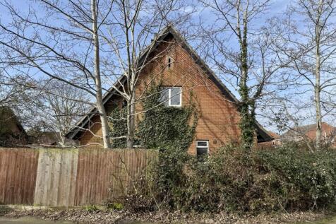 IMG 1093 T202602231617.jpg