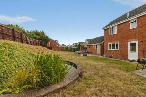 pbox-IMG.jpg