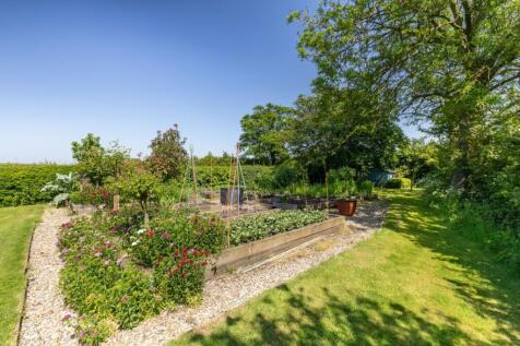 Kitchen Garden