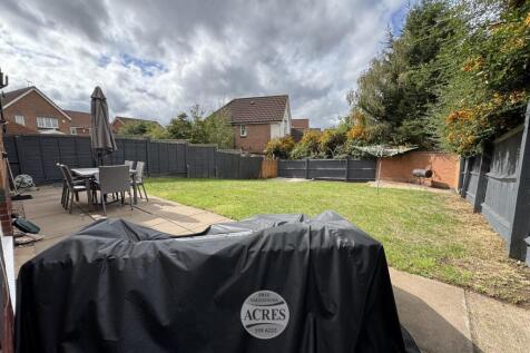 IMG_1302 (Large).jpg