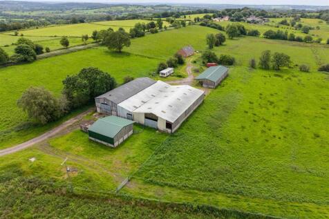 Greenmeadows Farm-10.jpg