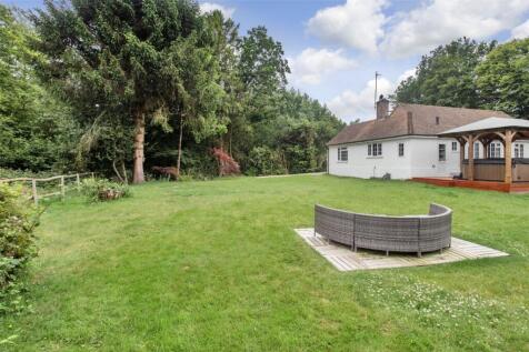 Back Garden