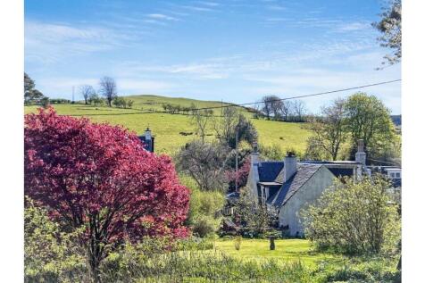 View from Garden