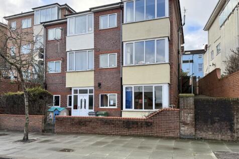 IMG 1597 T202602171146.jpeg