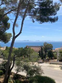 WhatsApp Image 2024-