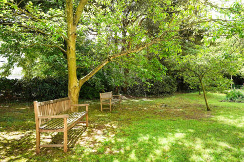 Property Image 13