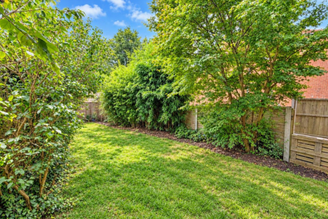 Sunlit Suburban Garden Clearing.png